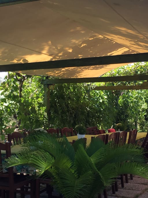 Gazebo