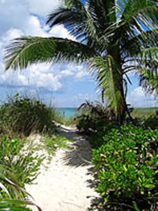 Path to the beach