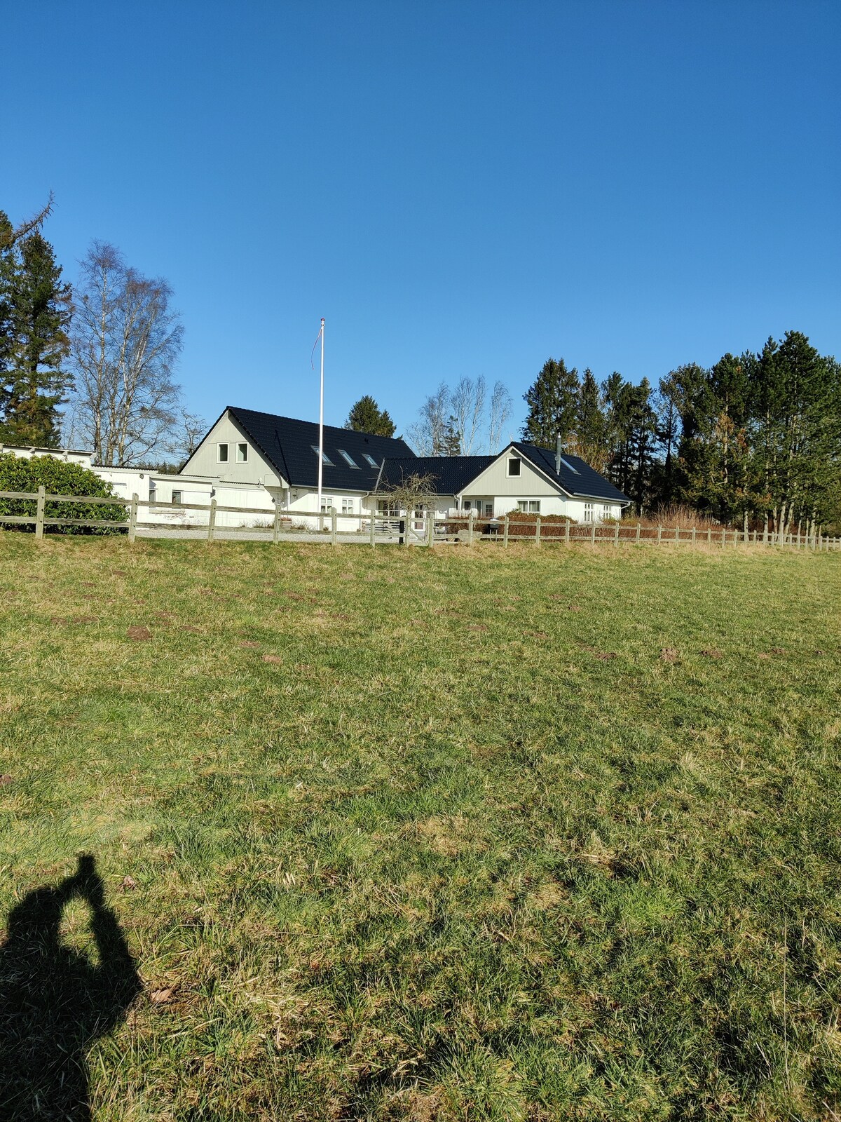 A serene landscape features a spacious two-story house with a dark roof, surrounded by a green pasture. Tall trees line the background under a clear blue sky. A flagpole stands in front of the property, contributing to the rural ambiance.