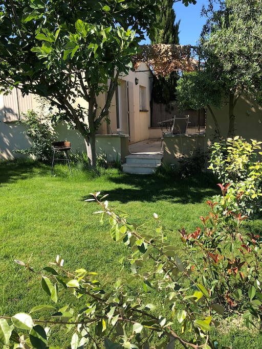 Petite Maison SaintRémydeProvence Houses for Rent in SaintRémyde