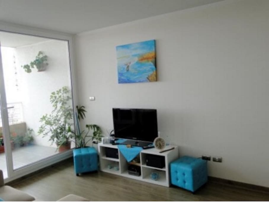 Radio con Bluetooh, TV Led