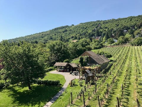 Romantic log cabin in the Danube Bend