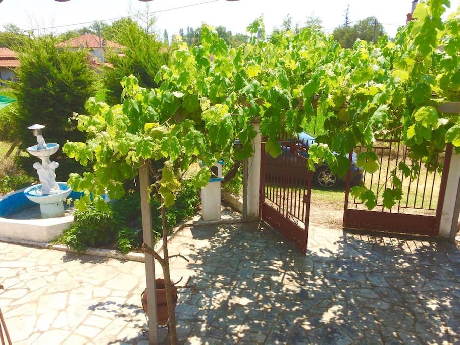 View from balcony