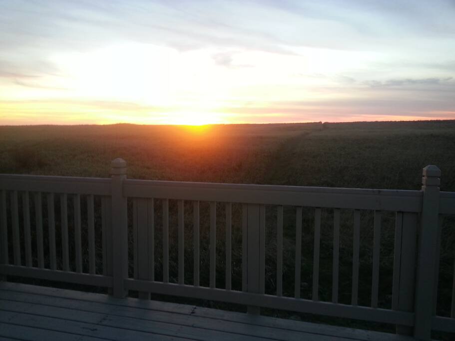 view from the deck (no water view)
