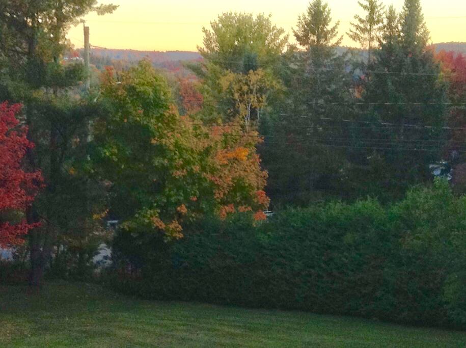 Vue du balcon