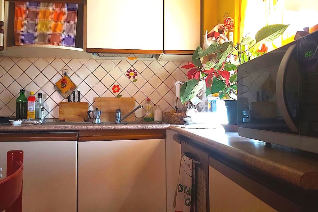 cucina