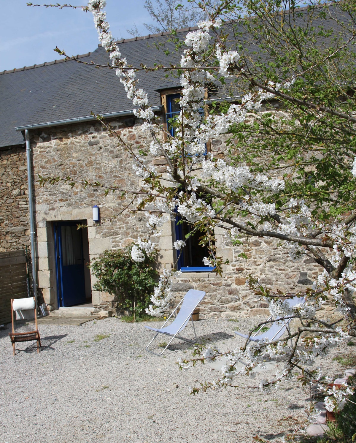 A charming stone exterior is complemented by blooming white flowers on a nearby tree. Two lounge chairs are positioned on the gravel area in front of the entrance, which features blue trim around the door and windows, inviting relaxation in a serene outdoor setting.