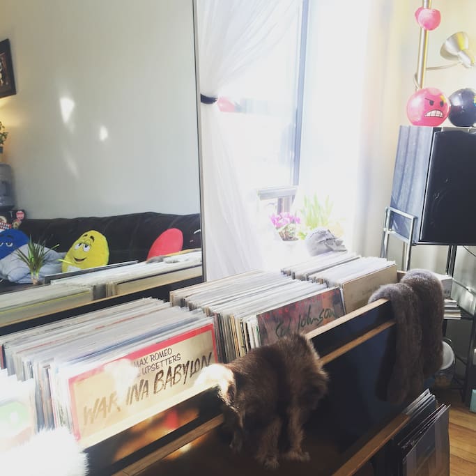 our vinyl collection