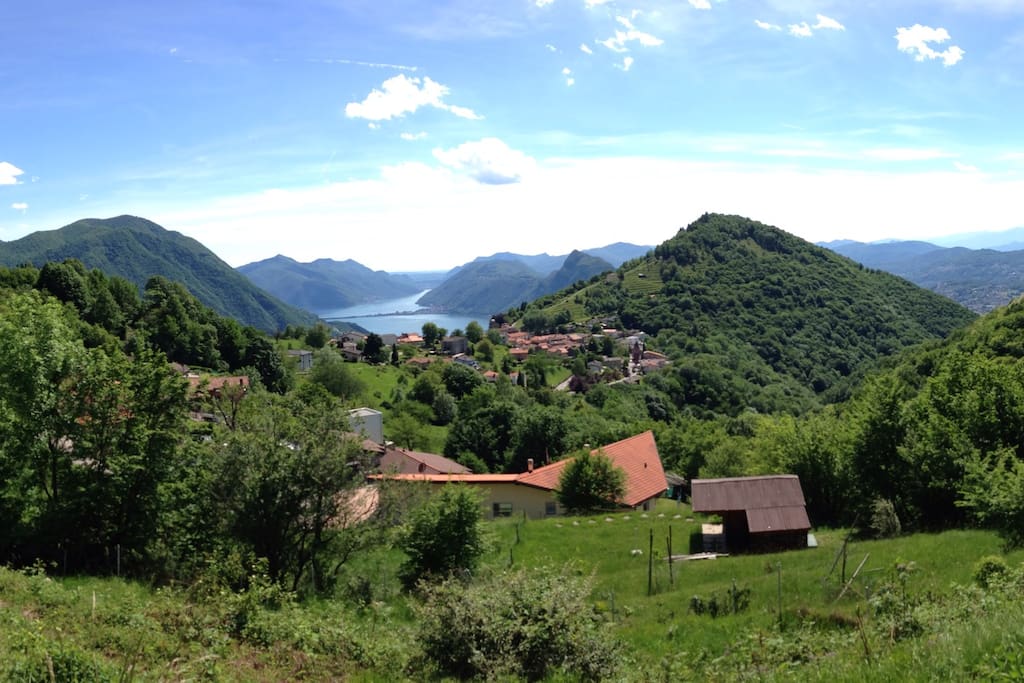 View from patio