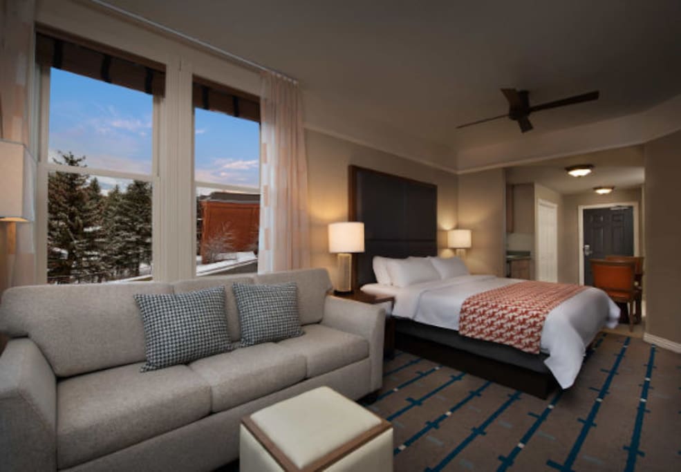 Sleeping area and king size sofa bed
