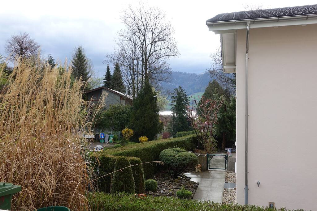 Blick aus dem Fenster auf den See