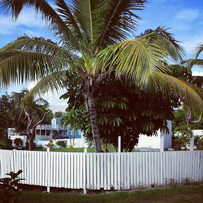 view out the front door