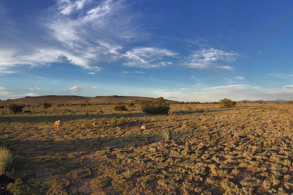 This panorama shot gives you an idea of the sweeping landscape.