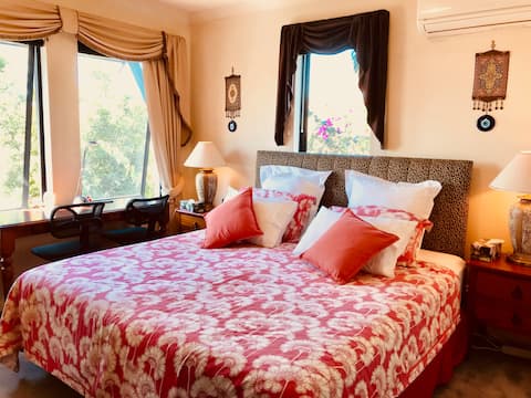 Sunny Airy Master Room Hidden Gem 2 minutes to CBD