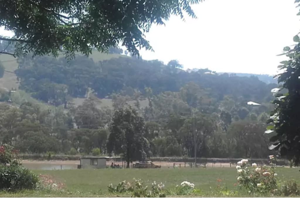 The view from the Caravan