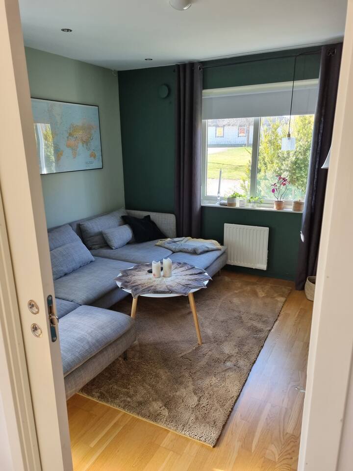 Salle de télévision avec possibilité de dormir dans un canapé.