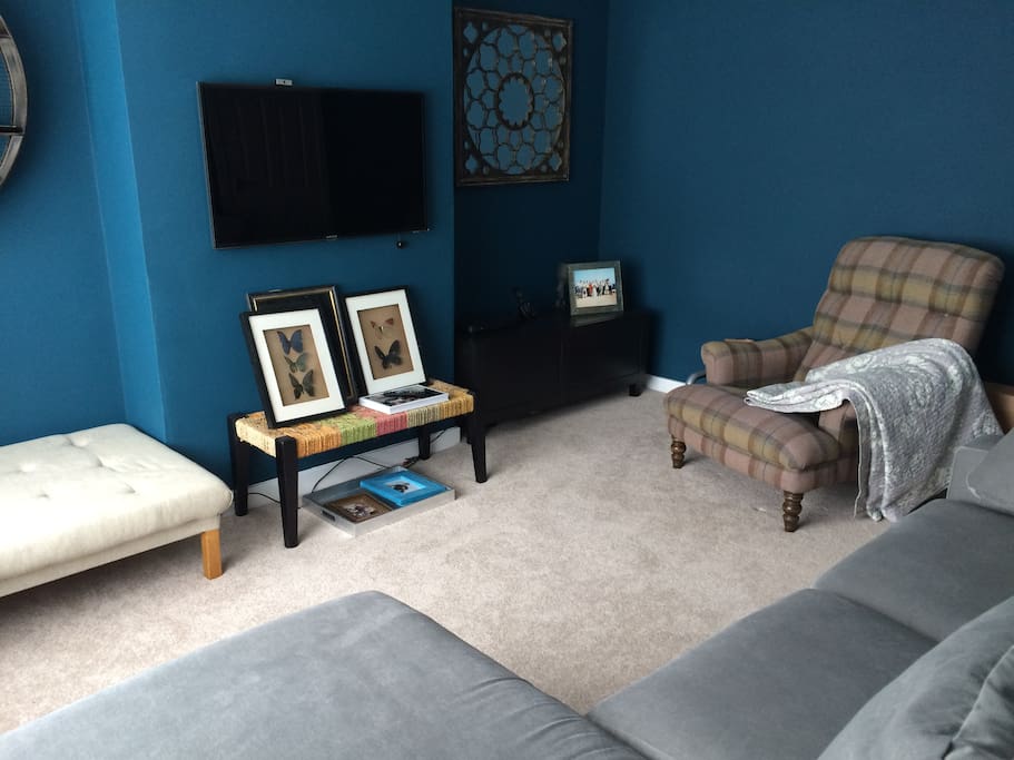 2nd living room/ 4th bedroom (sofa bed)