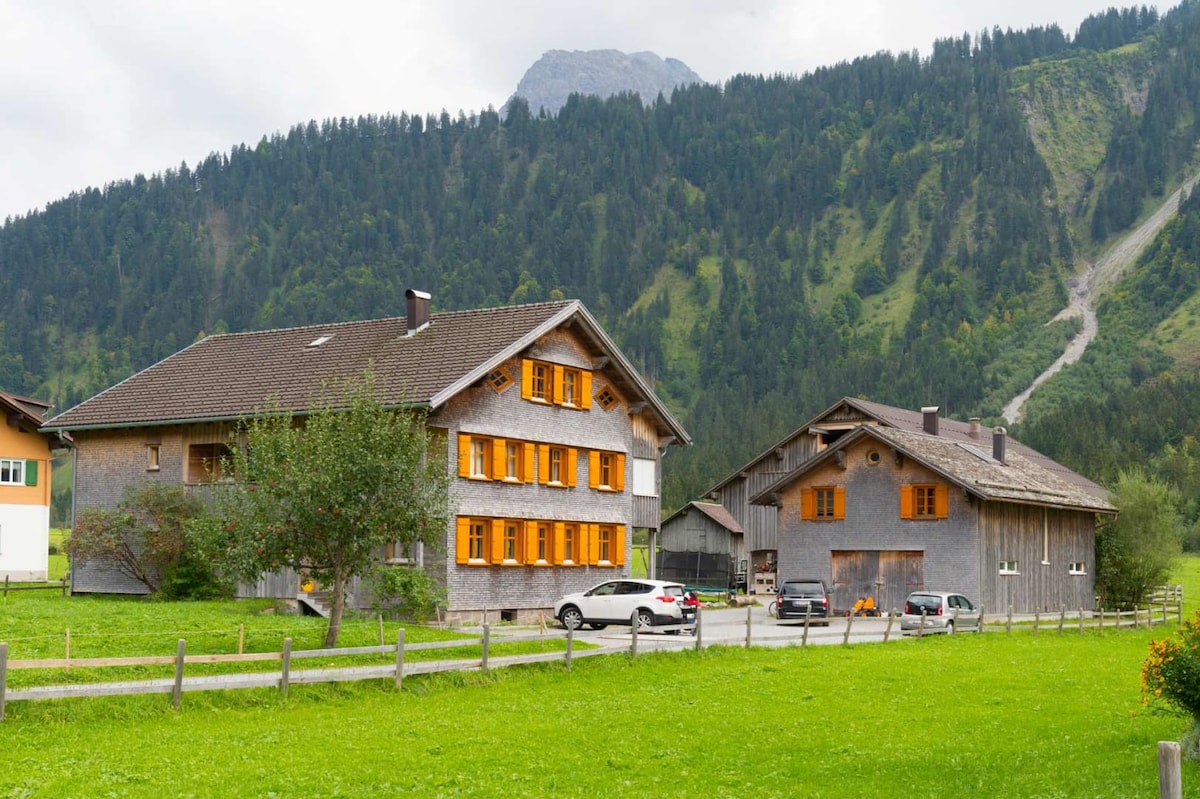 A traditional Swiss style apartment building is situated alongside a charming wooden house. Both structures are framed by lush greenery and mountainous terrain in the background. The buildings feature orange window shutters that contrast with the gray exteriors.