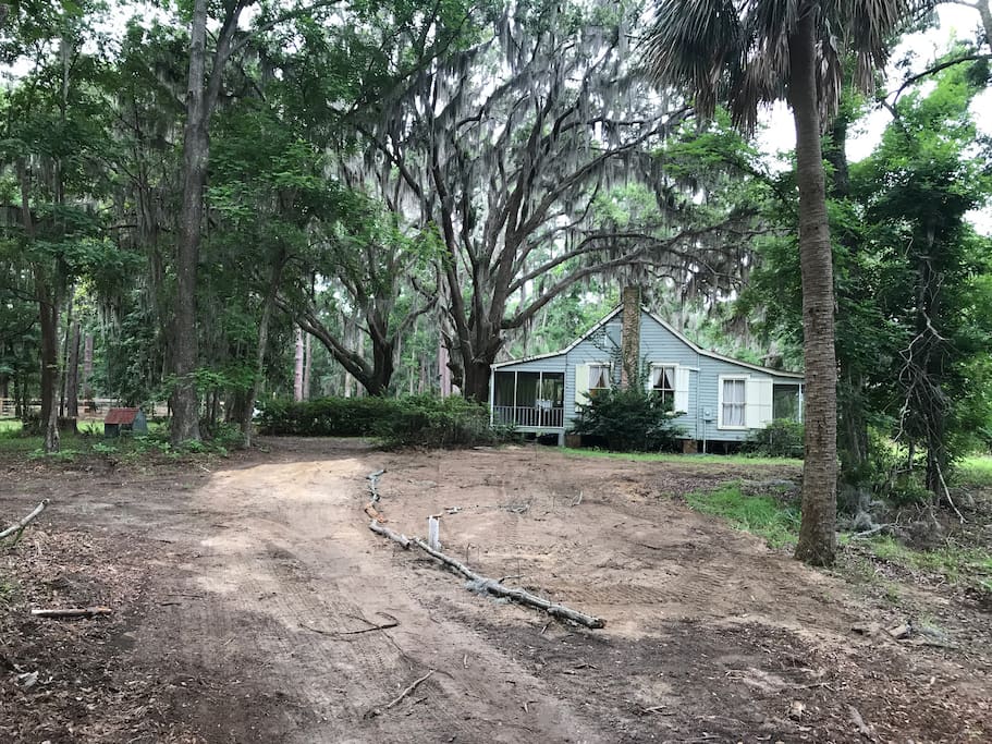 We just replaced the septic drain lines so be careful not to drive on the area between the white pipe and the house. Also, do not remove the septic tank tops that are exposed next to the azaleas!
Thank you