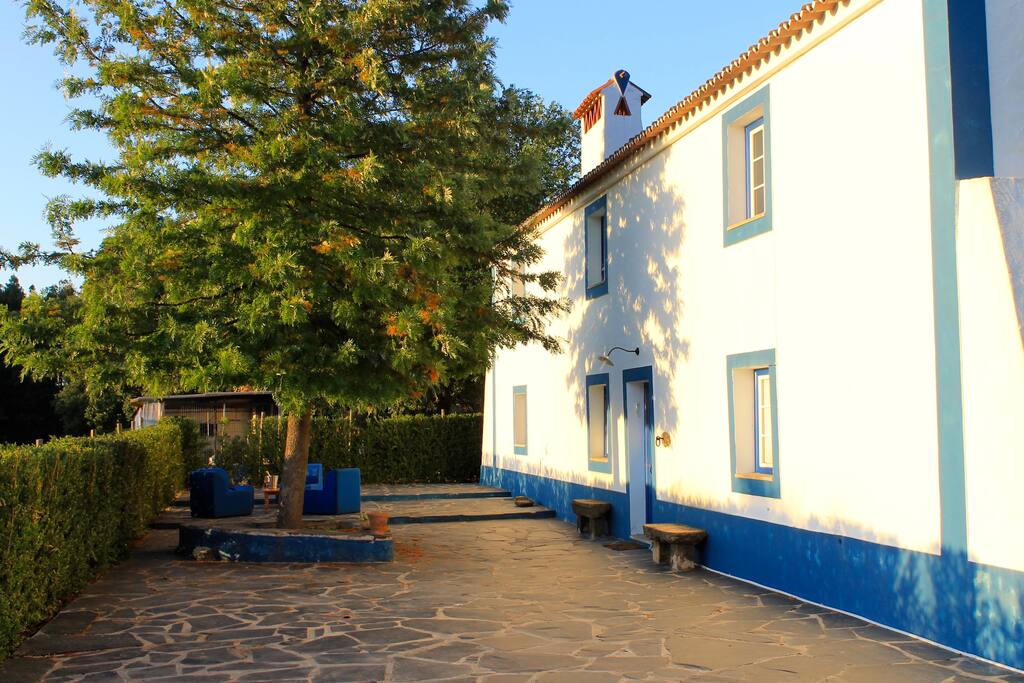 Páteo