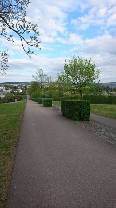 The park near home