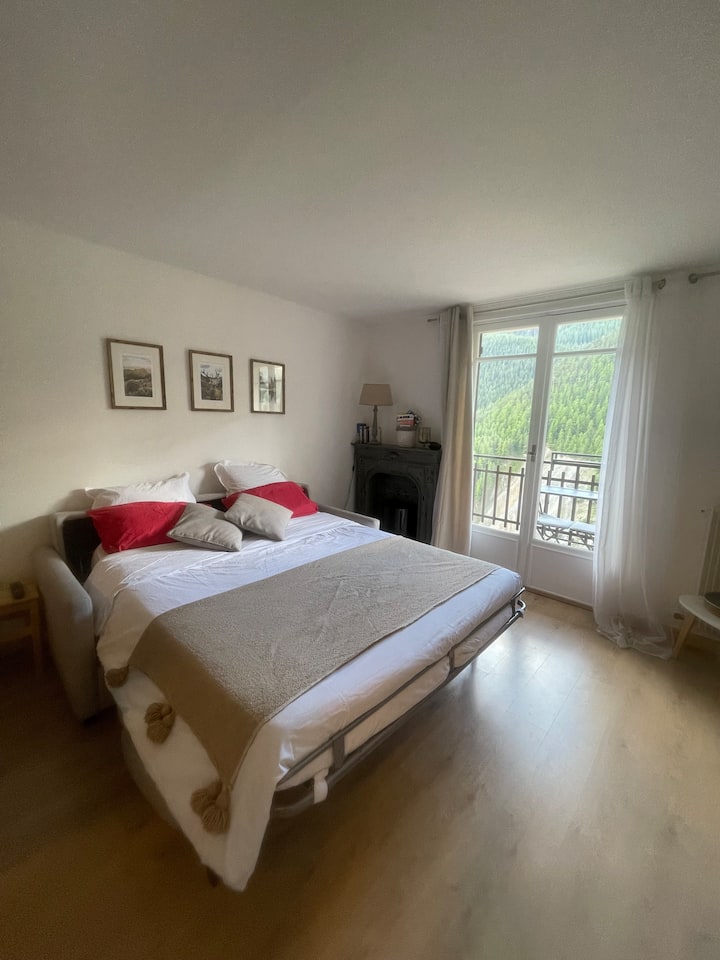 Main room. Open sofa bed