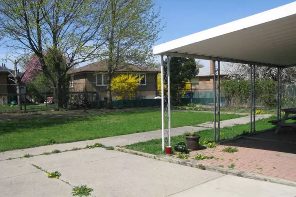 Backyard