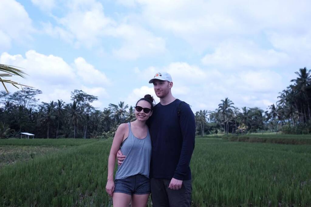 Rice Field