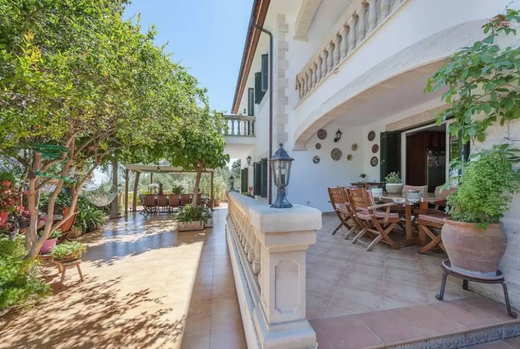Terraza - Terrace