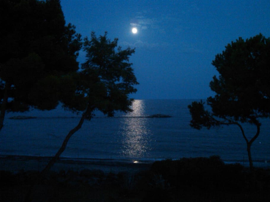 view from terrace at night