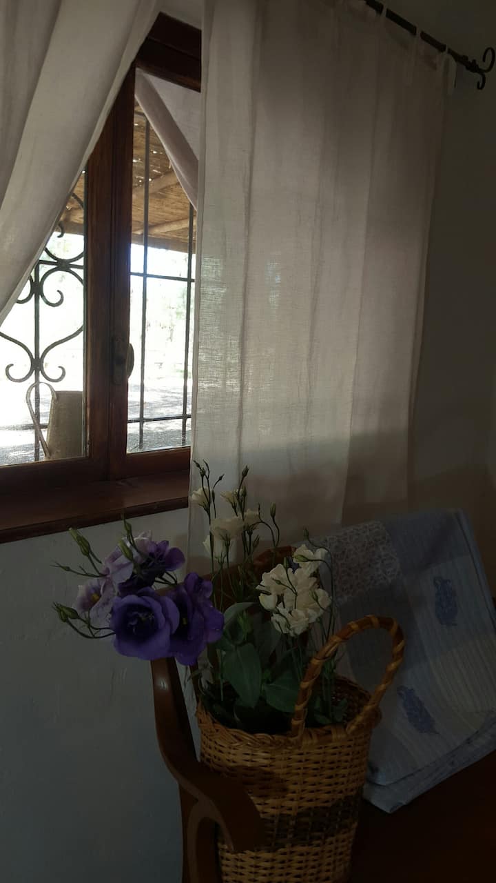 נוף מהחדר הכחול