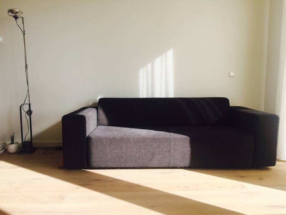 Morning sun
