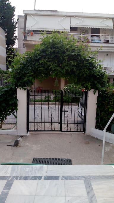 Entrance to the courtyard and building.