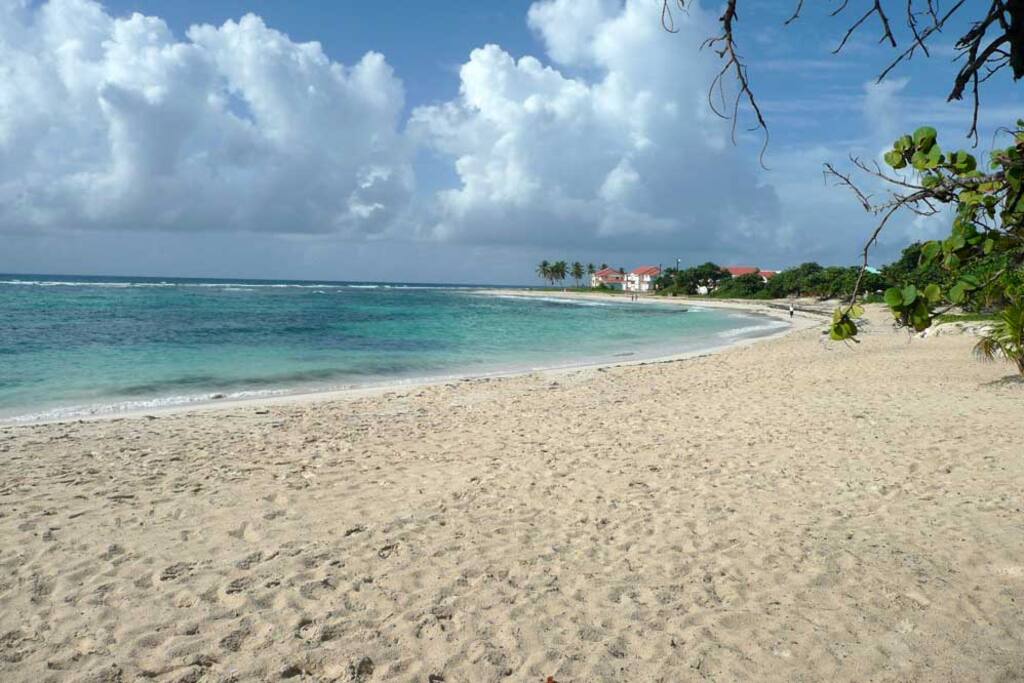 plage des raisins clairs
