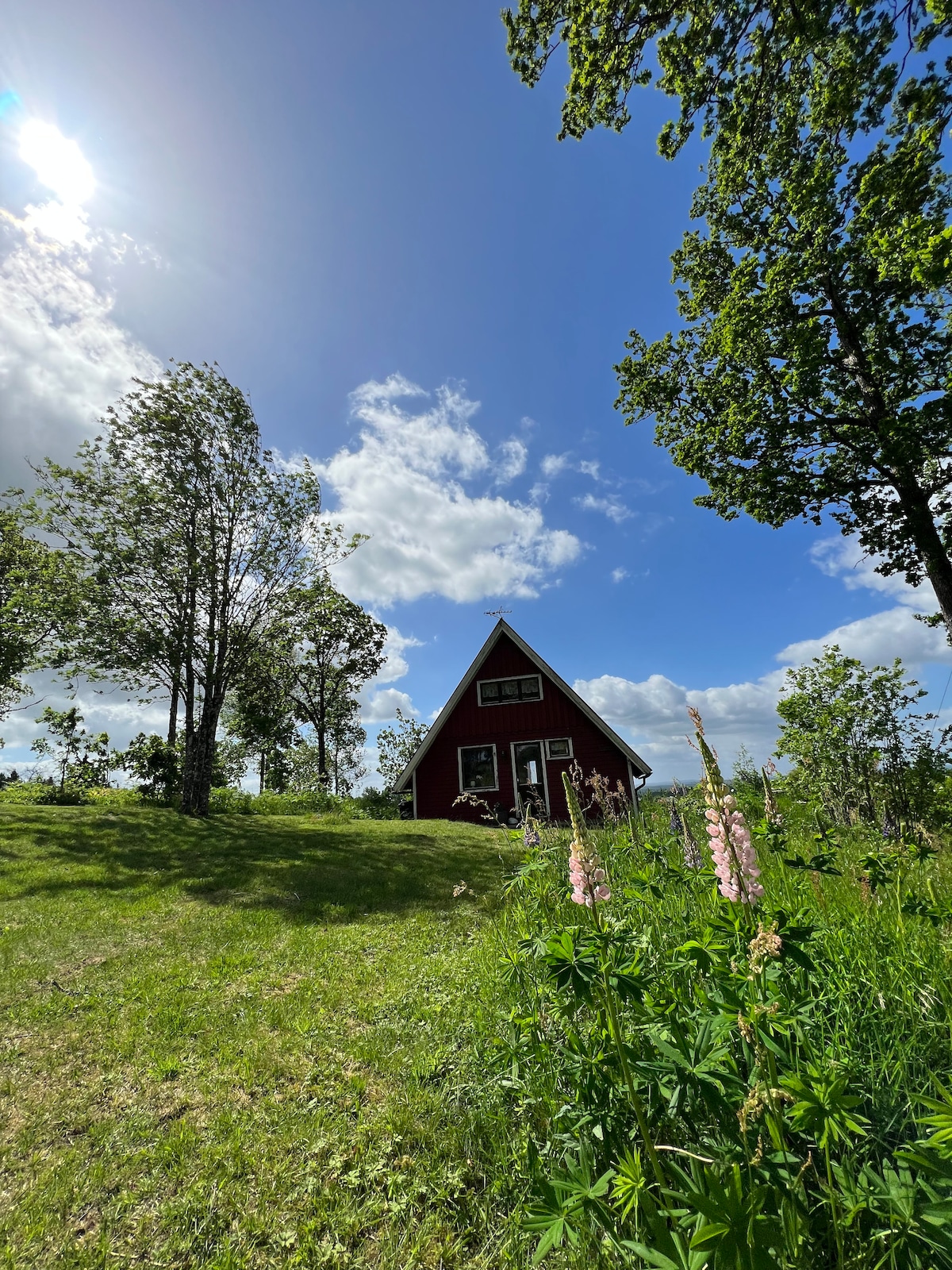 A red A-frame cabin is situated on a grassy elevation, surrounded by tall trees. Light clouds drift across the blue sky, and colorful flowers bloom in the foreground, creating a serene atmosphere. The cabin features multiple windows that enhance its welcoming appearance.