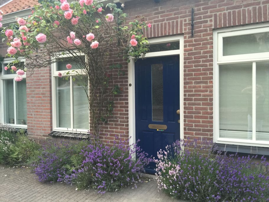 Bloemetjes om u te verwelkomen bij Maison 'COT'