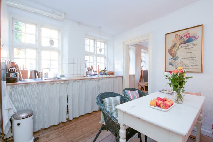 Children Friendly Apt Latin Quarter - Copenhague