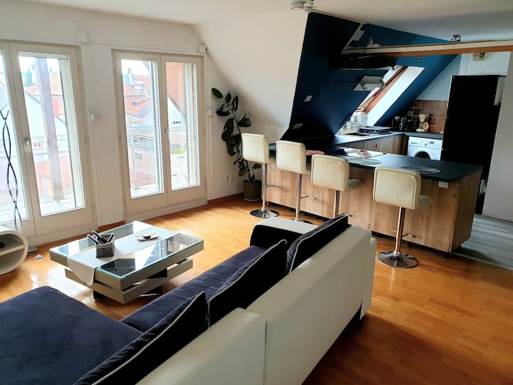 10 Best Airbnb Vacation Rentals In Haguenau, France Updated 2024