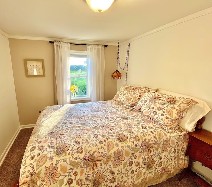 10 Best Airbnb Vacation Rentals In Havelock, North Carolina Updated