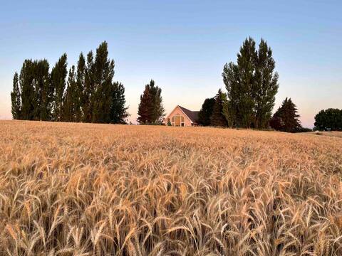 Farmhouse Stay, Unmatched Views,
Potato Country