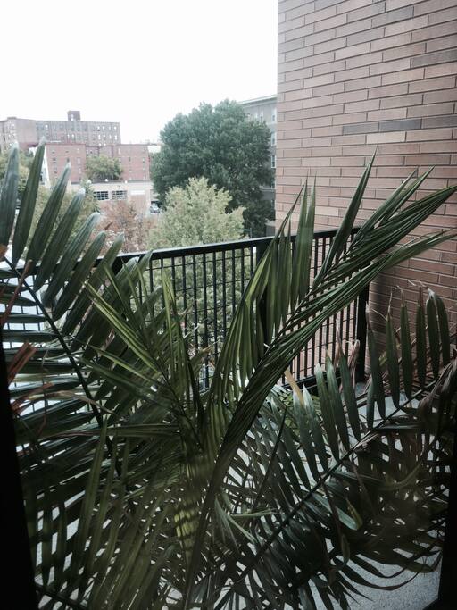 BONUS: Porch for morning reflections, weather permitting.