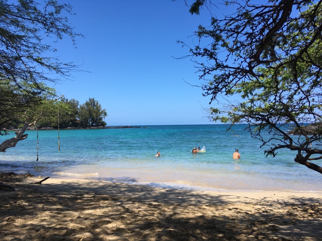 A serene beach scene is displayed, featuring gentle waves lapping at the shore. Trees provide scattered shade over soft sand, while a few individuals can be seen enjoying the water. The clear blue sky enhances the tranquil atmosphere of the coastal landscape.