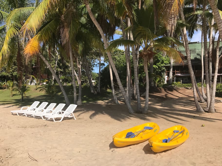Beach and kayaks