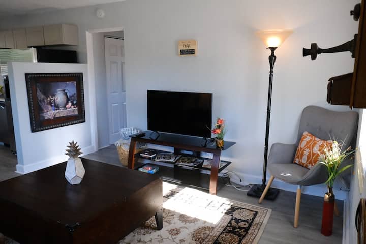 Pineapple Penthouse-cozy Suite Near Dwntwn St.pete - St. Petersburg, FL