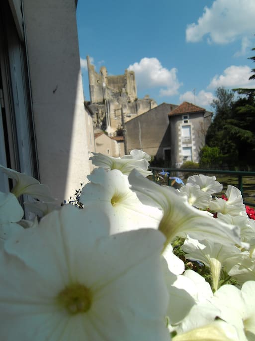 Vue sur le vieux château