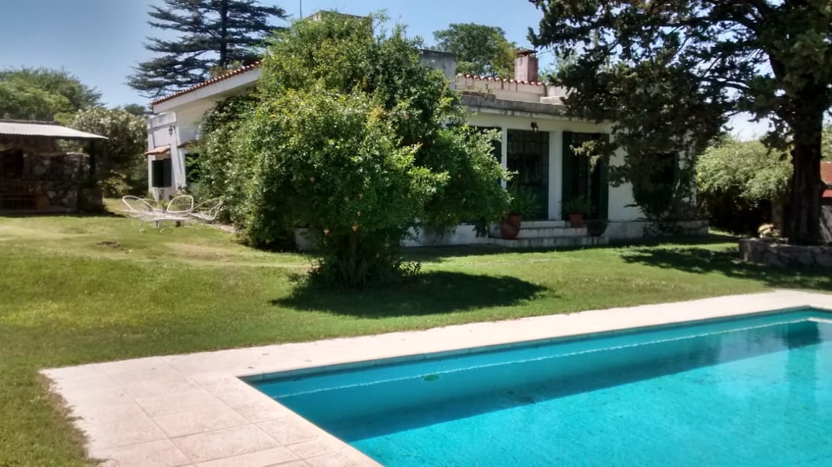 A well-maintained outdoor area features a clear swimming pool surrounded by trimmed grass and hedges. The modern house is partially visible, showcasing large windows. Shade is provided by mature trees, enhancing the serene atmosphere of the expansive yard.