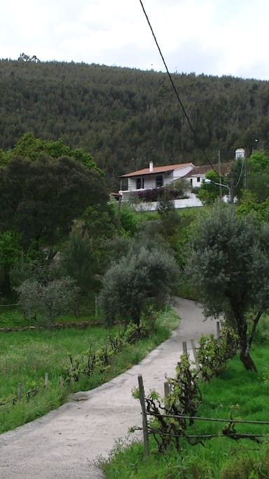 Vista da Casa