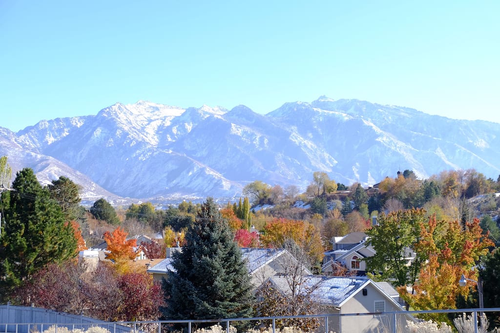 The safest neighborhood in Utah. One mile from I-15 and Southtown Mall, 12 min drive to the mouth of little Cottonwood, that's SKI Slopes.