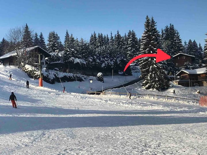 Les Paccots : locations de vacances et logements - Les Paccots,  Châtel-Saint-Denis, Suisse | Airbnb