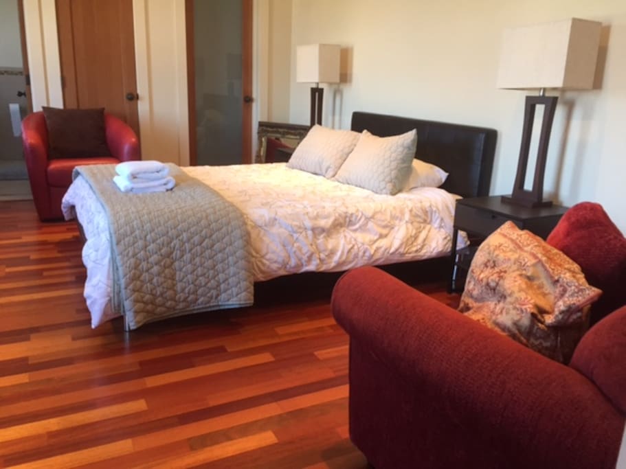 Spacious bedroom with lots of natural light and walk-in closet!